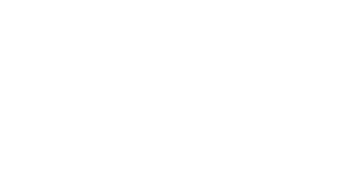 Transparent Sterling Custodian Services White Logo